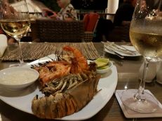 IMG-20170215-WA0049 Kopie