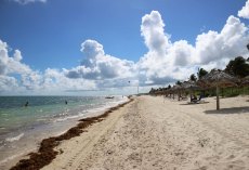 20181111172336_IMG_3618a