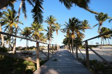 20181111230826_IMG_3652a